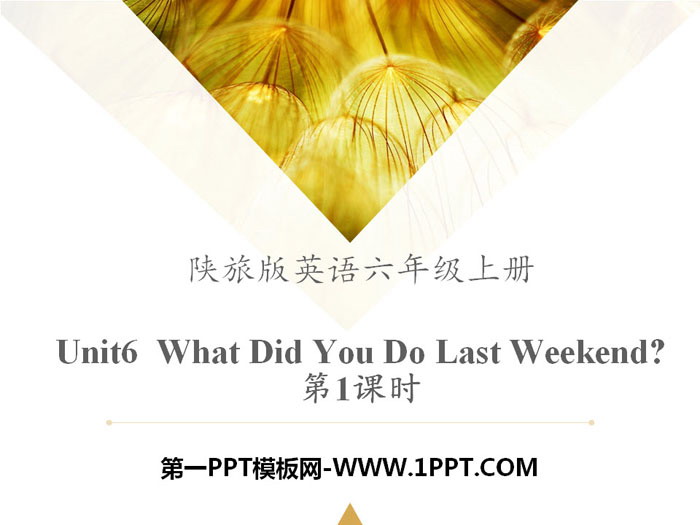 《What Did You Do Last Weekend?》PPT