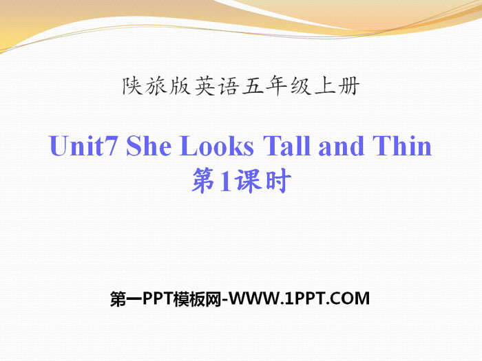 《She Looks Tall and Thin》PPT