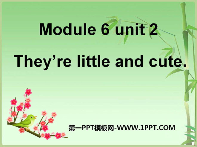 "They’re little and cute" PPT courseware 3