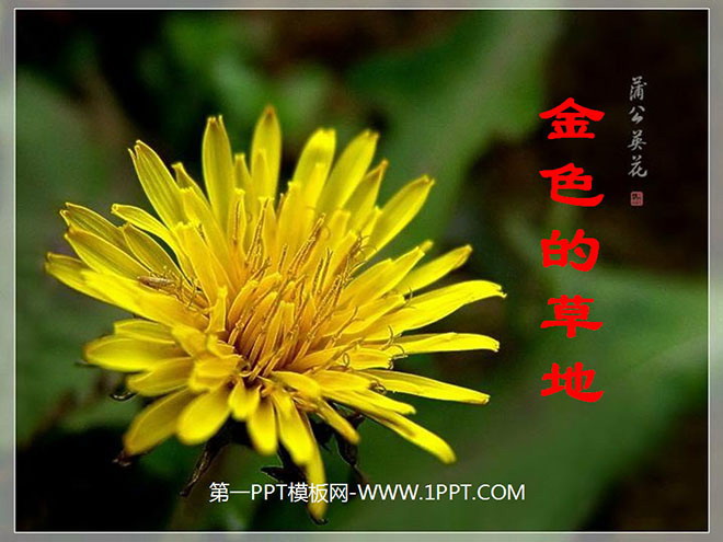 《金色的草地》PPT教学课件下载2