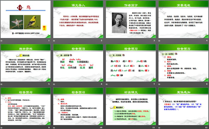 《鸟》PPT课件下载
（2）