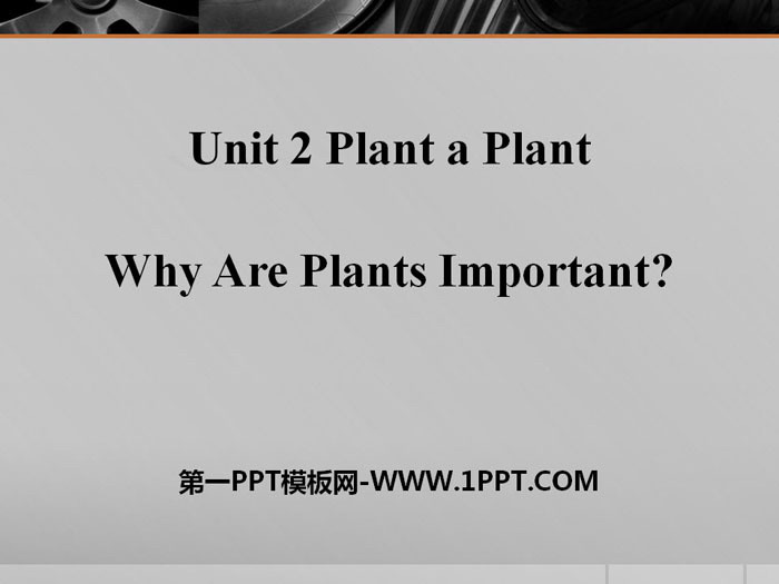 "Why Are Plants Important?" Plant a Plant PPT free download