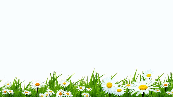 Fresh small flower PPT background picture