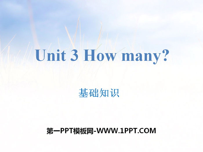 《How many?》基礎知識PPT