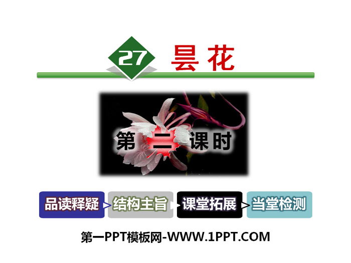 "Epiphyllum" PPT courseware