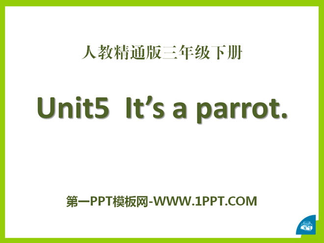 "It's a parrot" PPT courseware 3