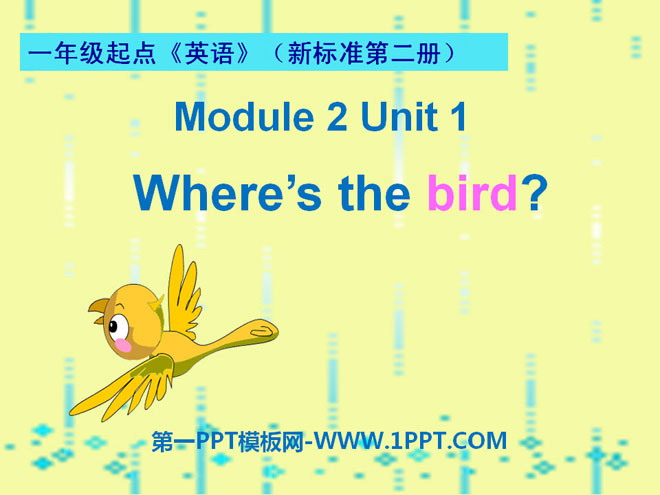 "Where’s the bird?" PPT courseware 2