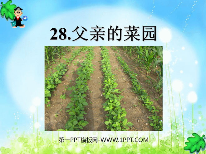 "Father's Vegetable Garden" PPT courseware 8