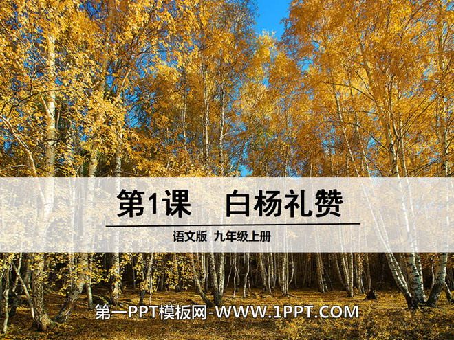 "Praise of Poplar" PPT Courseware 10