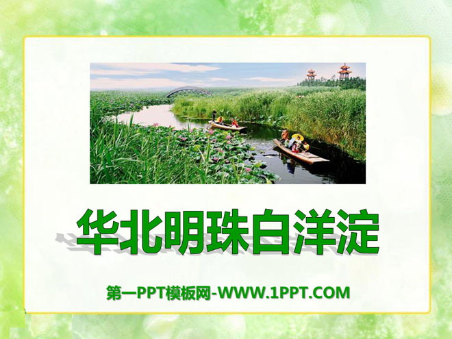 "Pearl of North China Baiyangdian" PPT courseware 2