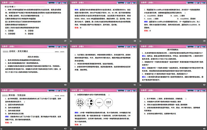 《染色体变异》基因突变及其他变异PPT下载（6）