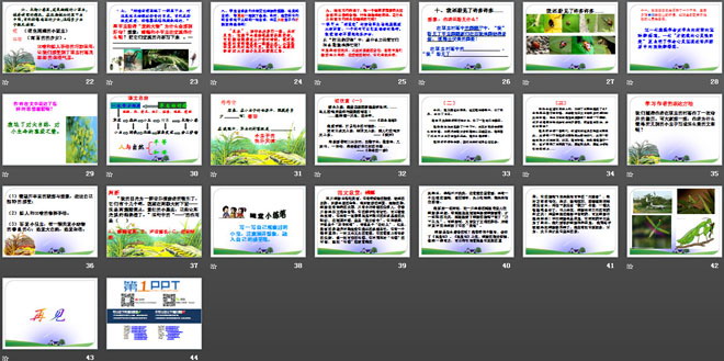 《草虫的村落》PPT课件下载6
（3）