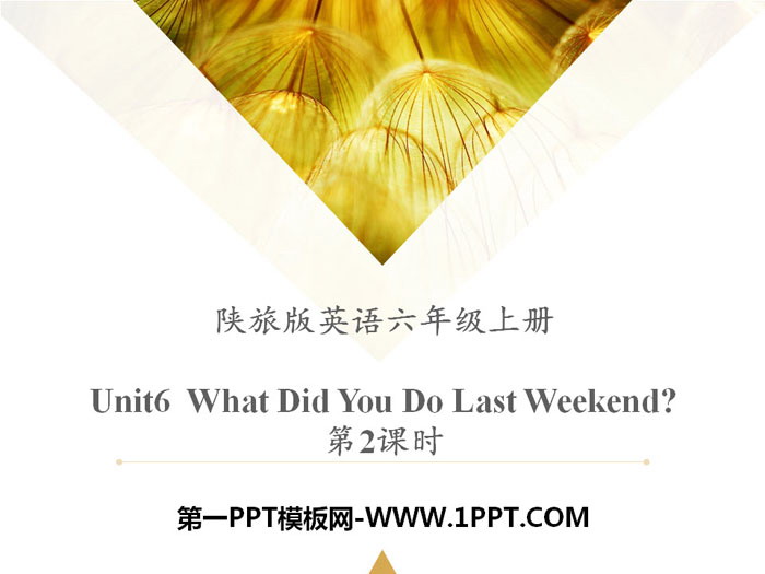 《What Did You Do Last Weekend?》PPT下载