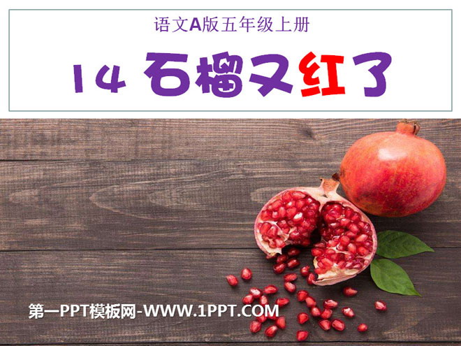 "Pomegranate is Red Again" PPT courseware 2