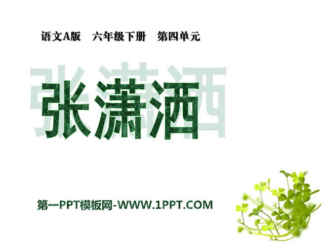 "Zhang Xiaosa" PPT courseware