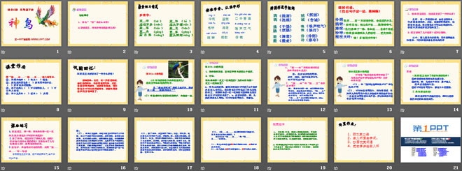 《神鸟》PPT课件4
（2）