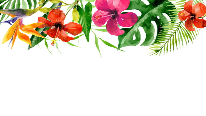 兩張彩色水彩花卉幻燈片背景圖片