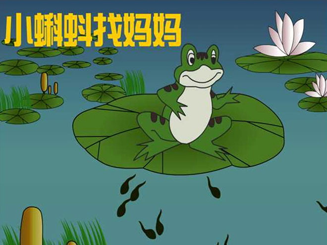 "Tadpole Looking for Mom" ​​PPT courseware
