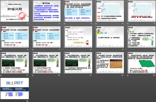 《种植问题》土地面积PPT课件
（2）