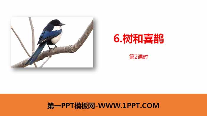 "Tree and Magpie" PPT courseware (Lesson 2)