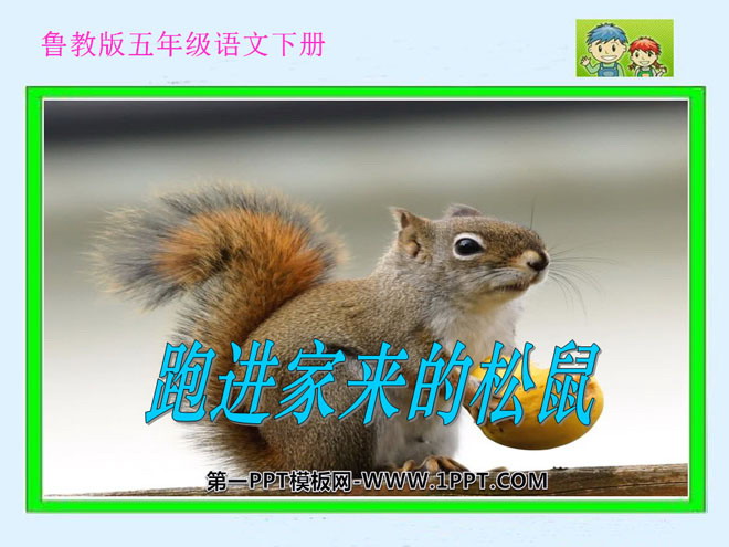 "The Squirrel Ran into the House" PPT Courseware 3