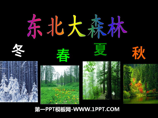 "Northeast Forest" PPT Courseware 2