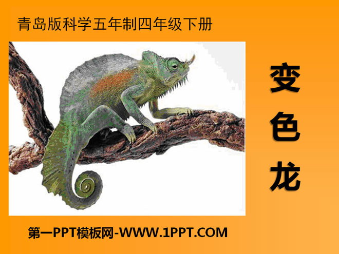 "Chameleon" PPT download