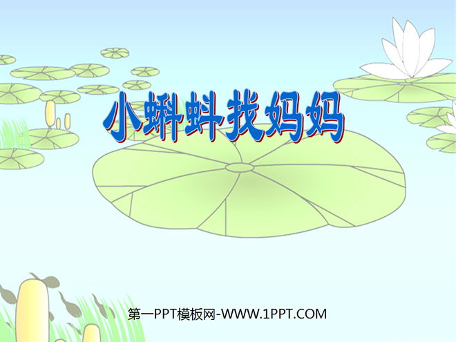 "Tadpole Looking for Mom" ​​PPT Courseware 3