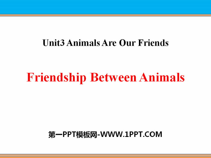 《Friendship Between Animals》Animals Are Our Friends PPT课件