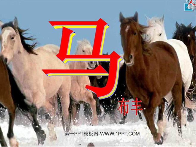 "Horse" PPT courseware 2