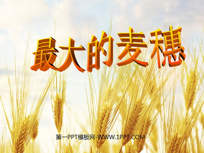 "The Biggest Ear of Wheat" PPT Courseware 5