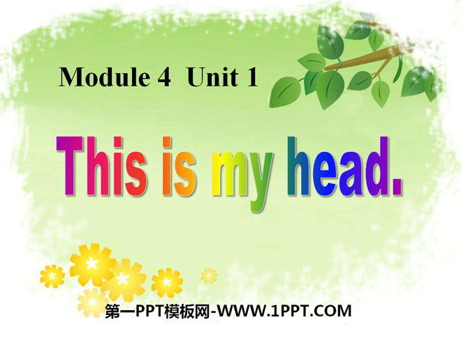 "This is my head" PPT courseware 4
