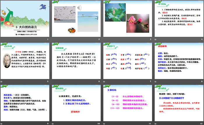 《大自然的语言》PPT（2）