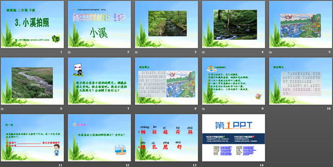 《小溪拍照》PPT课件
（2）