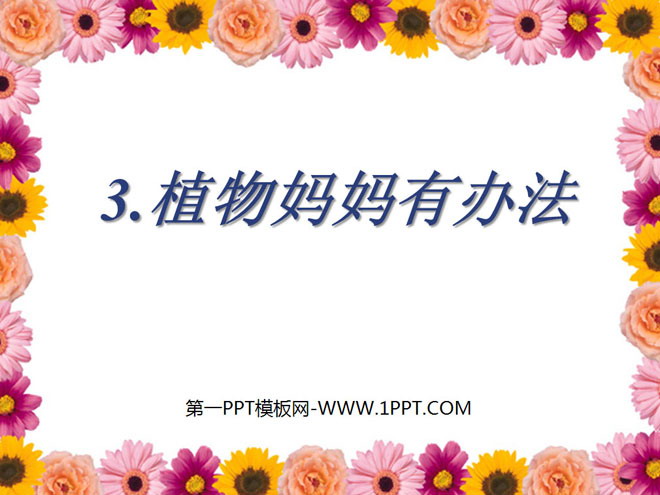 "Plant Mother Has a Solution" PPT Courseware 3