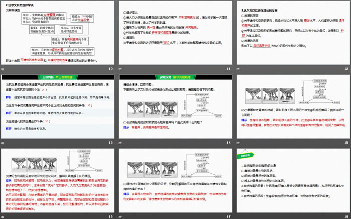 《自然选择与适应的形成》生物的进化PPT（3）