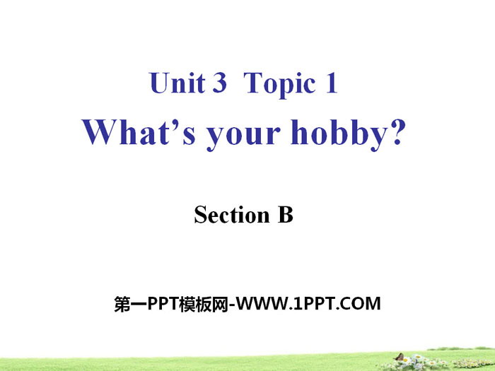 《What's your hobby?》SectionB PPT