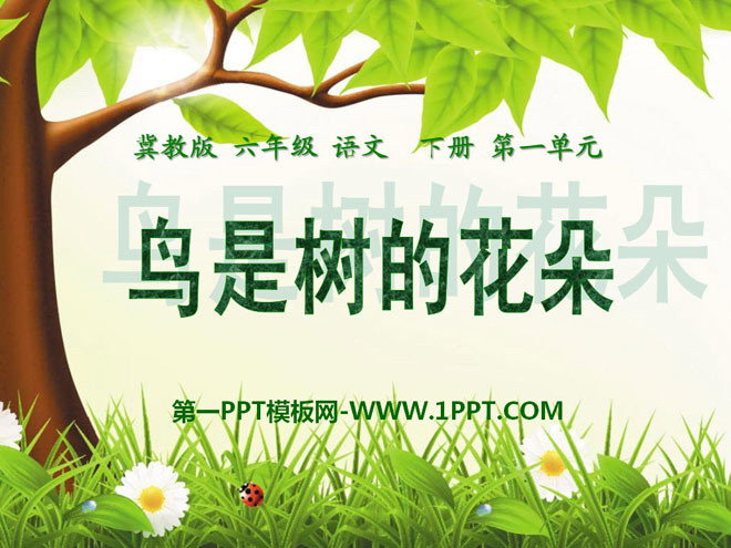 "Birds are the flowers of trees" PPT courseware 2