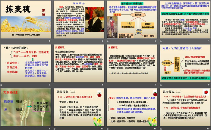 《拣麦穗》PPT
（2）