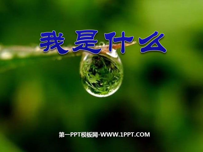 《我是什么》PPT课件3
