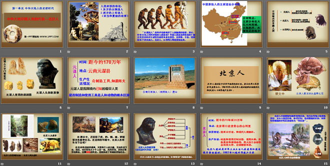 《中华大地早期人类的代表―北京人》中华大地上的史前时代PPT课件3（2）