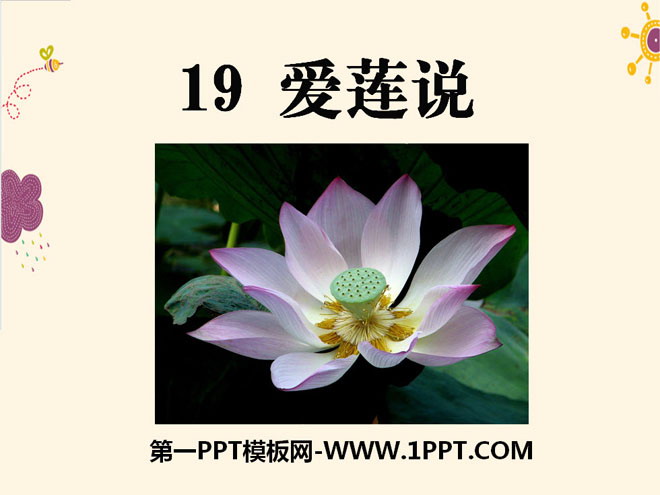 "Love Lotus" PPT courseware 8