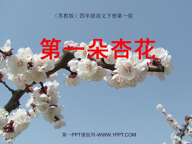"The First Apricot Blossom" PPT Courseware 2
