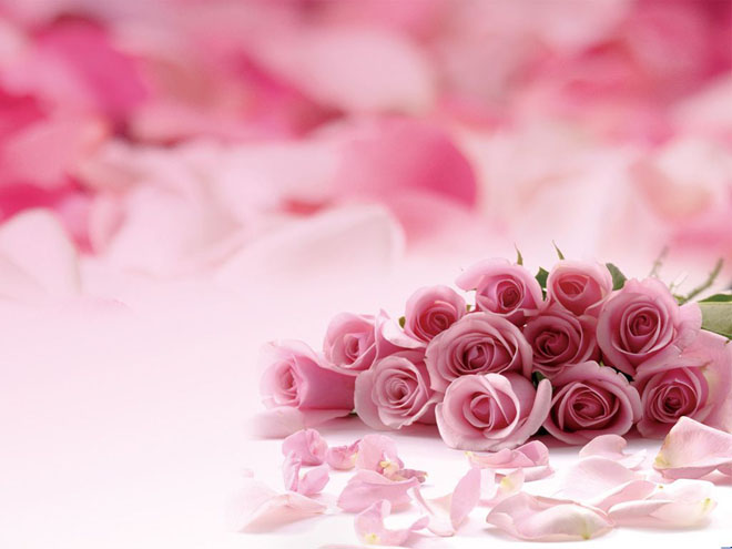 粉色浪漫玫瑰花PPT背景圖片