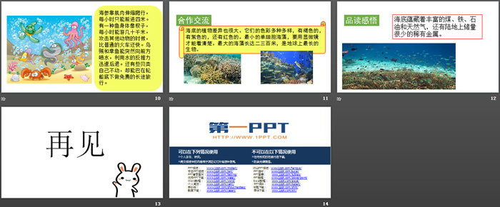 《海底世界》PPT免费课件（3）