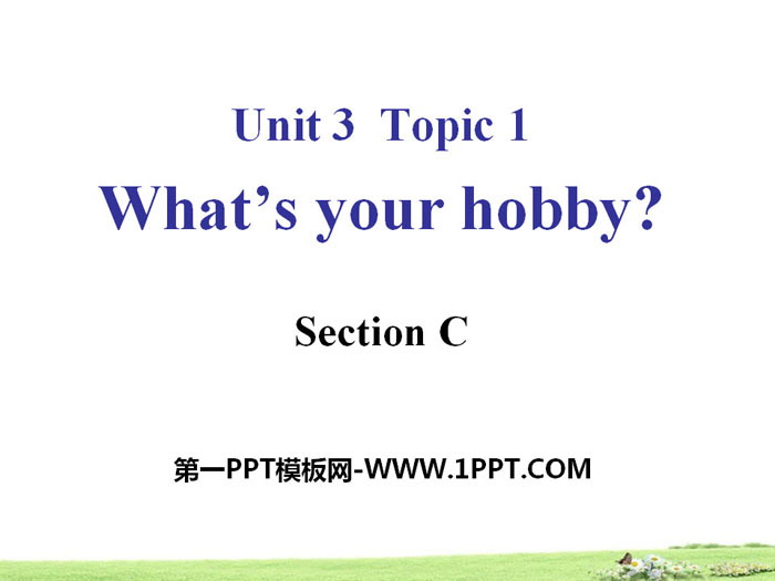 《What's your hobby?》SectionC PPT