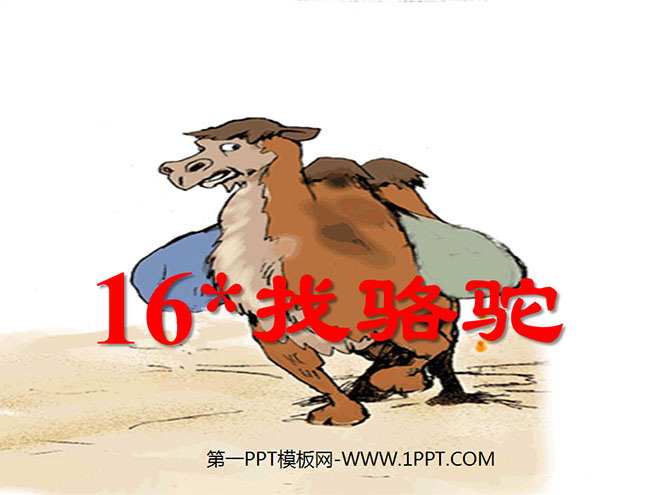 "Looking for Camels" PPT teaching courseware download 4