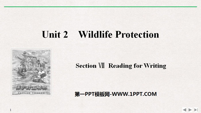 《Wildlife Protection》SectionⅦ PPT课件