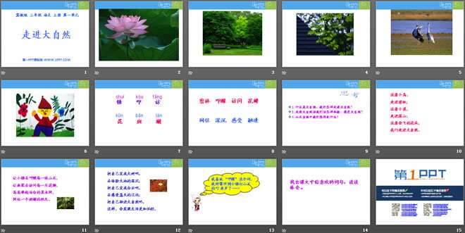 《走进大自然》PPT课件6
（2）