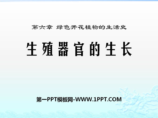 《生殖器官的生长》PPT